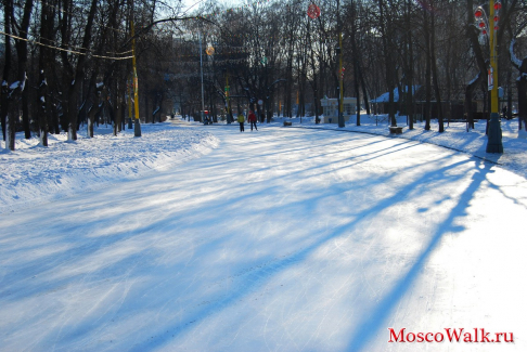 Ледовая аллея в парке Сокольники